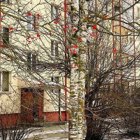 Apartament Cozy Near Kadriorg, Airport 2 Km *